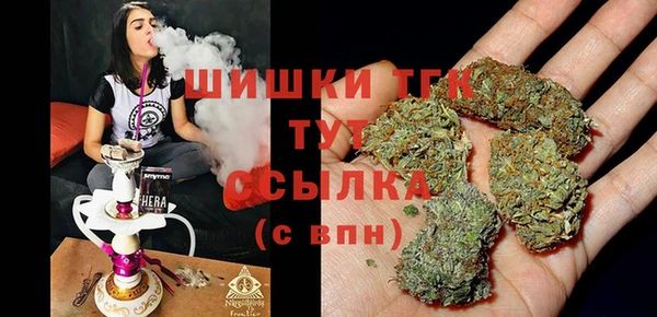 соль ск Алзамай
