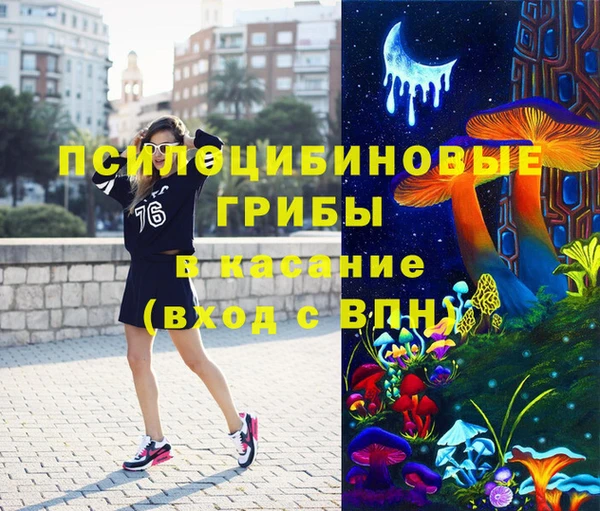 ПСИЛОЦИБИНОВЫЕ ГРИБЫ Алексеевка